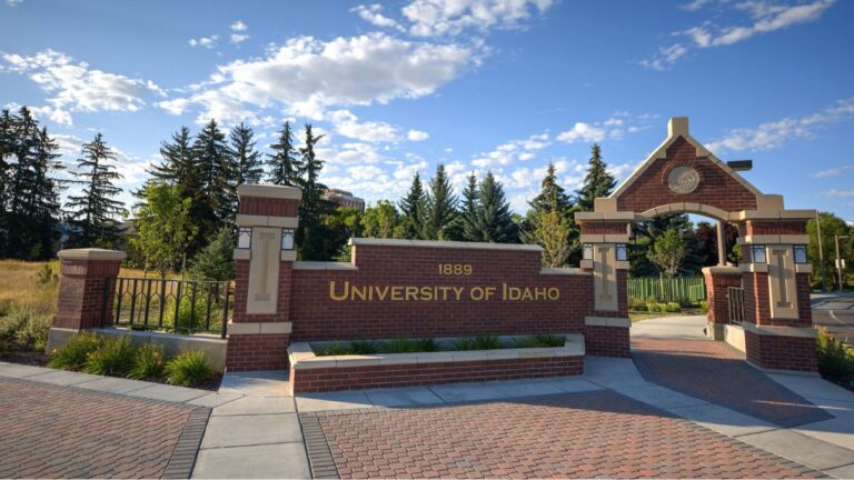 University of Idaho USA Scholarships